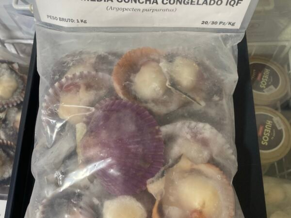 Ostión 1/2 Concha Coral 1 kilo