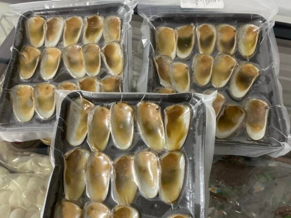 Machas promoción 3 Bandejas X$20.990